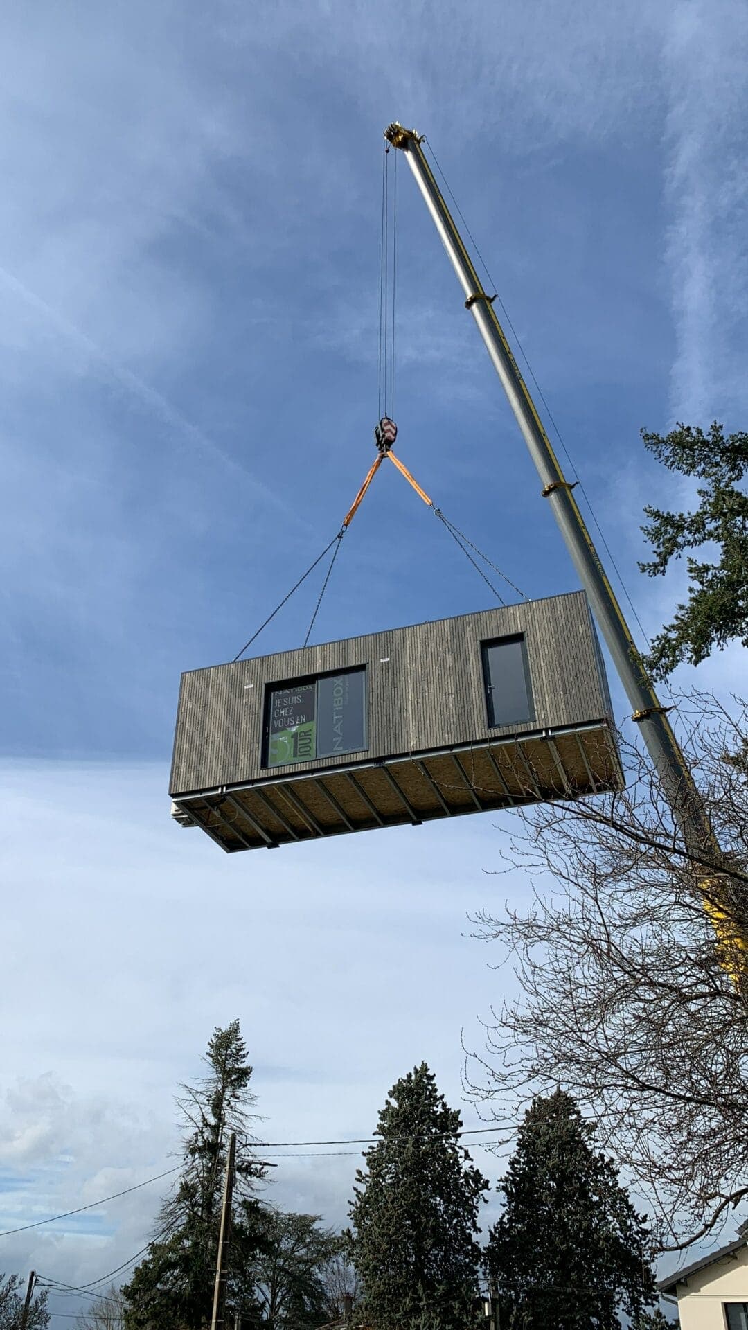 studio au dessus d'un arbre