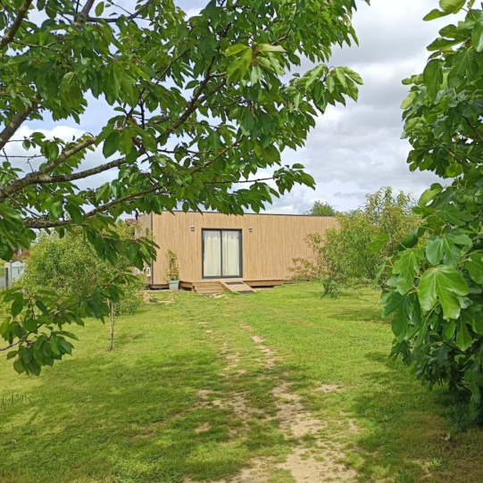 IMG_20250530_072752 (1)