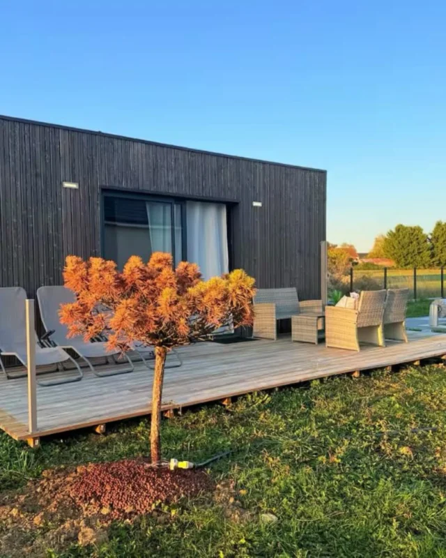 On adore quand nos clients nous partagent leurs installations 😍
Direction Bourges, où cette superbe Natibox profite d’un cadre de rêve : une belle terrasse en bois face à la piscine 💦☀️

Un grand merci à notre cliente pour ces magnifiques photos — l’intérieur comme l’extérieur sont juste parfaits ✨
Vous aussi, imaginez votre espace de vie au cœur du jardin 🌿

#Natibox #StudioDeJardin #TinyHouse #HomeInspiration #Terrasse #Piscine #Bourges #DesignOutdoor #ClientsSatisfaits #Jardin